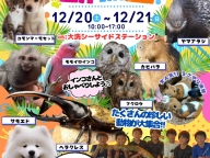 触れる！エキゾチックふれあい動物園